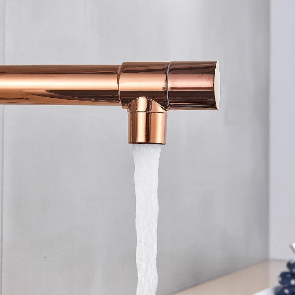 Modern Mono Pull Out Twin Kitchen Mixer Tap Sink Dual Spout Spray Single Lever