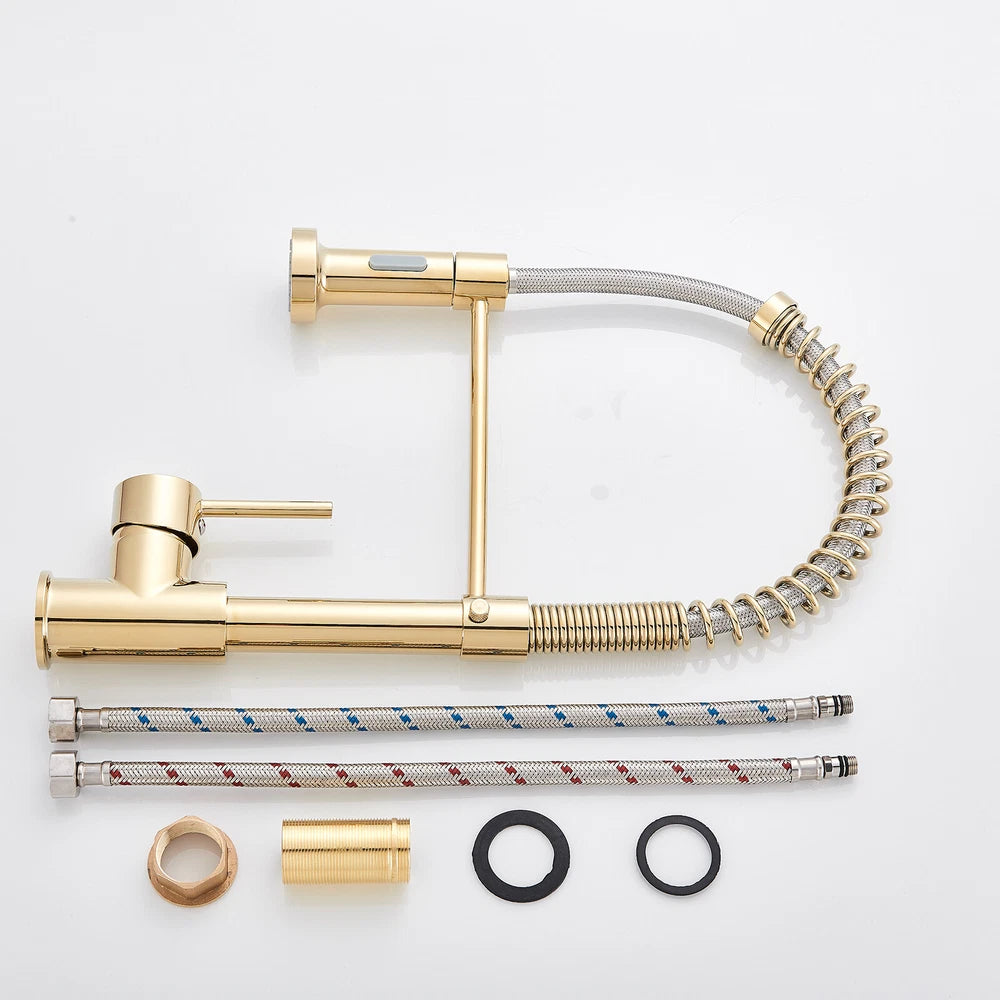 Modern Mono Pull Out Twin Kitchen Mixer Tap Sink Dual Spout Spray Single Lever
